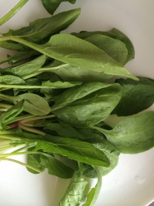 Невкусный шпинат
